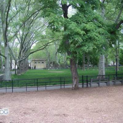 The 10 best New York City dog parks