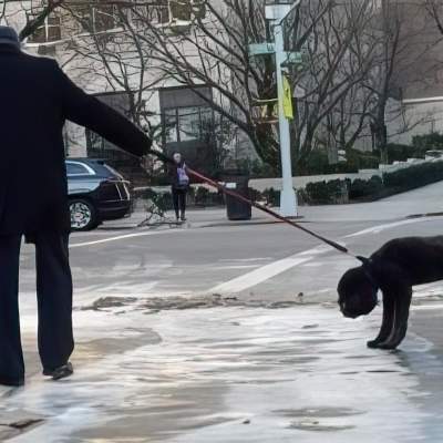 NYC dog walkers urged to be careful of metal surfaces