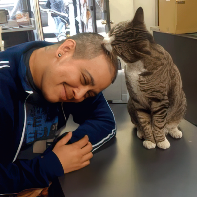 Meet five NYC Indie store cats